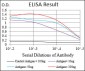 MLANA Antibody