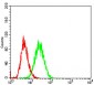 CD36 Antibody