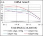 XRCC6 Antibody