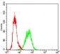 XRCC6 Antibody