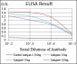 GSK3B Antibody