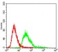 SERPINA3 Antibody