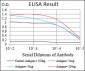 PDK2 Antibody