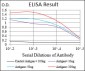 EIF5A Antibody