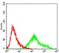 CCNA2 Antibody