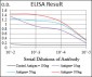 CSNK2B Antibody