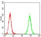 PDGFRA Antibody