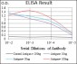 SNAI2 Antibody