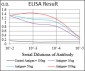 CDH17 Antibody