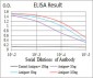 EIF5A Antibody