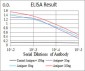 NOX4 Antibody