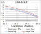 CASP3 Antibody