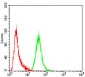 P2RY13 Antibody