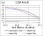 TFAP2A Antibody