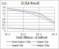 ERCC1 Antibody