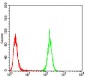 EMD Antibody