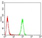 EMD Antibody