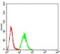 HDAC9 Antibody