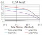 HDAC2 Antibody