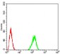 TARDBP Antibody