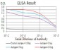 RALA Antibody