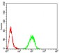 RALA Antibody