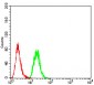 KDM5B Antibody