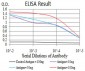 Rab13 Antibody