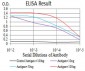 LRP1 Antibody