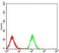 PPARA Antibody