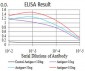 PLCG1 Antibody