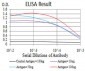 DDX39B Antibody