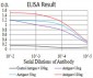 MMP14 Antibody