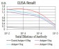 LRP1 Antibody