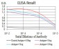 LRP1 Antibody