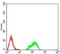 HIST2H4A(20Me3) Antibody