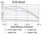 CK5 Antibody