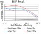 DDX20 Antibody