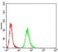 HIST2H3C(27Ac) Antibody