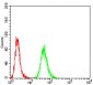 HIST2H3C(27Ac) Antibody