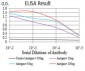 RAD23A Antibody