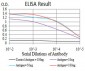 mTOR Antibody