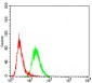 FBXL10 Antibody