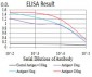 FBXL10 Antibody