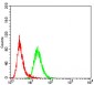 FBXL10 Antibody