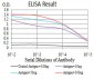 HOXA9 Antibody