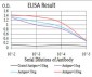 SIRT3 Antibody