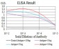 RAD52 Antibody