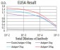 Rab5a Antibody