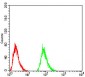 TSHB Antibody